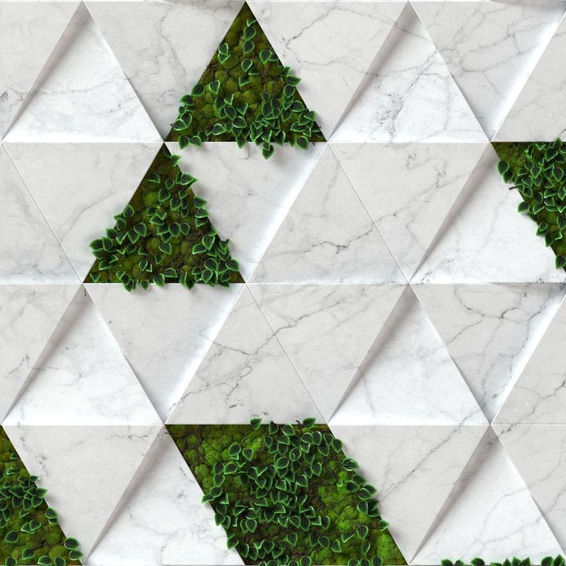 Triangle